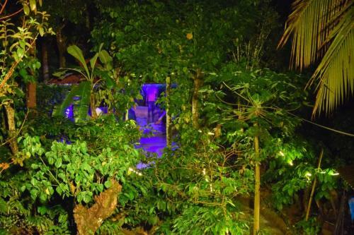 Agroturismo Coorg Rain Drop Farm Stay