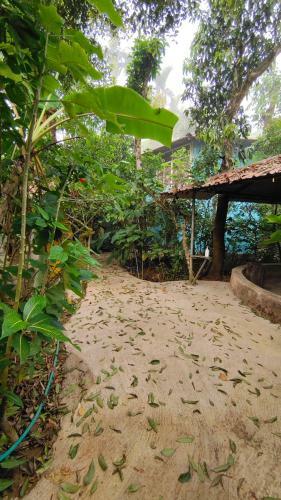 Agroturismo Coorg Rain Drop Farm Stay