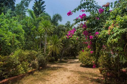 Hotel Secret Garden