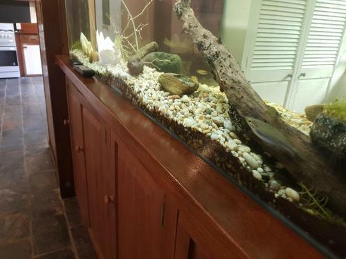 Gap Creek Retreat