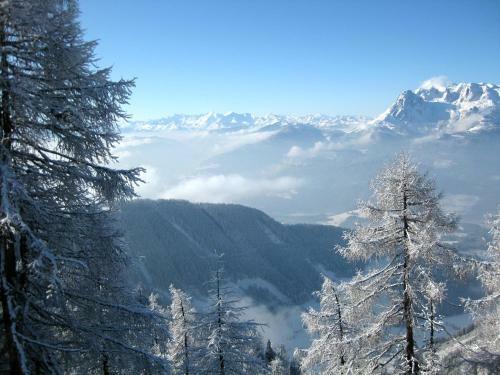 Hostal Gasthof-pension Strassreith