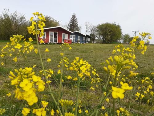 Lodge Kiszkowianka Domki