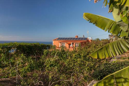 Casa Victor - Apartment Hayd�e