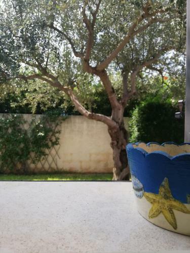 Il Piccolo Gelso - Marzamemi E Dintorni