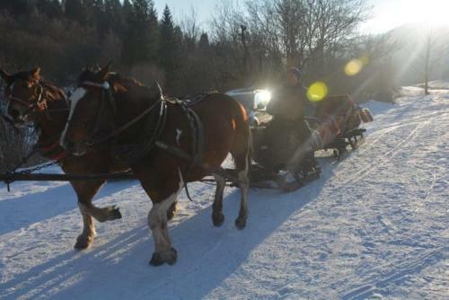 Lodge Domki Puchary Bieszczady