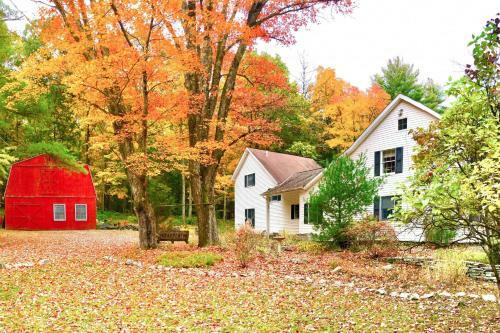 Serene Home On 60 Acres Kid And Pet Friendly!