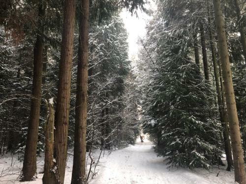 Pine Tree Lodge - Pentney Lakes