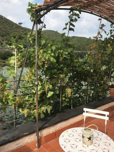 Bed & Breakfast La Casa Di Giobatta