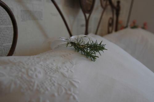 Bed & Breakfast Apricus Locanda