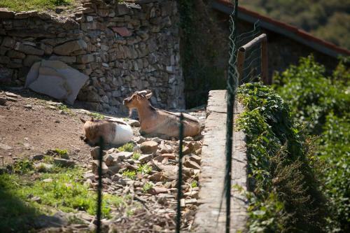 Hostal Muntaecara Albergo Diffuso