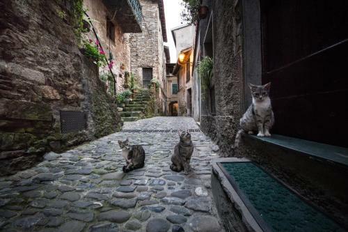 Hostal Muntaecara Albergo Diffuso