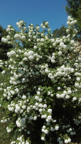 Bed & Breakfast Casa Sorgente