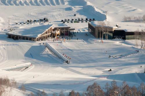 Posada Niseko Freedom Inn