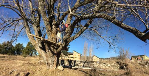 Apartamentos Le Jardin De Font Romeu