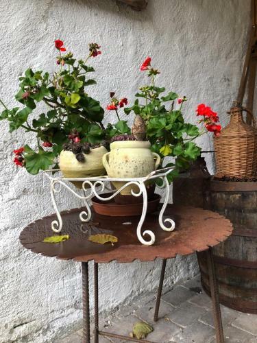 Bed & Breakfast Wohnstudio In Umgebauter Scheune