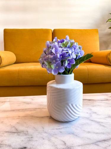 Alojamiento Entero: Apartamento Barranquilla