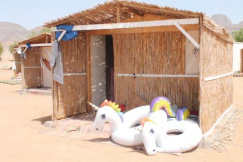 Alwaha Camp