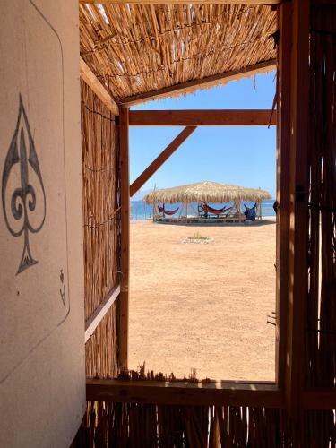 Alwaha Camp
