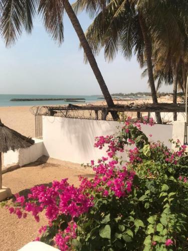 Bed & Breakfast West African Beach