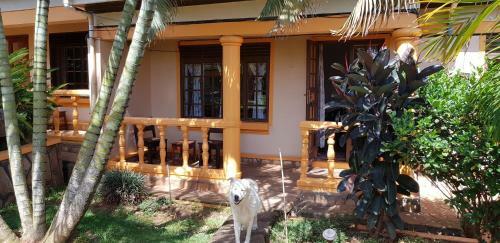 Hotel Keelan Ace Villas