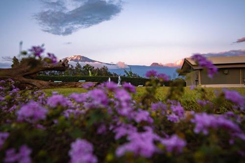 The Kilimanjaro Luxury Tented Camp
