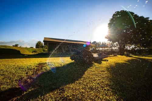 The Kilimanjaro Luxury Tented Camp
