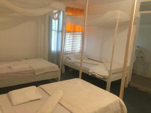 Albergue African Jungles Campsites & Lodges