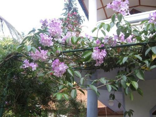 Hostal Kandy Drive Homestay