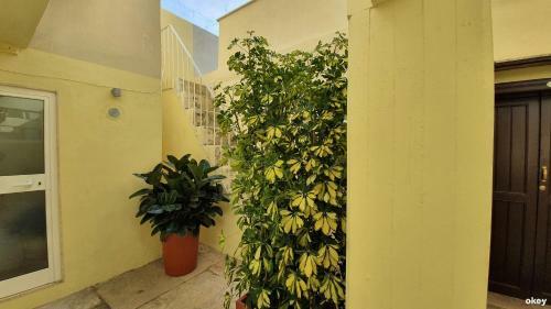 Hostal Twin Room Apulia - Bari Centro