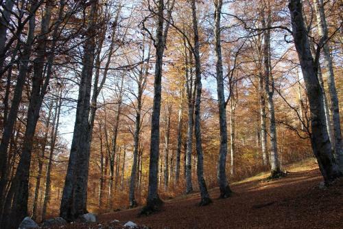 Apartamento La Casa Sulla Dolina