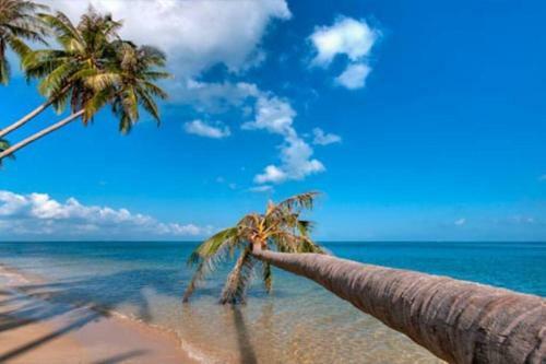 4 Bedroom Beachfront Villa ~ Villa 3