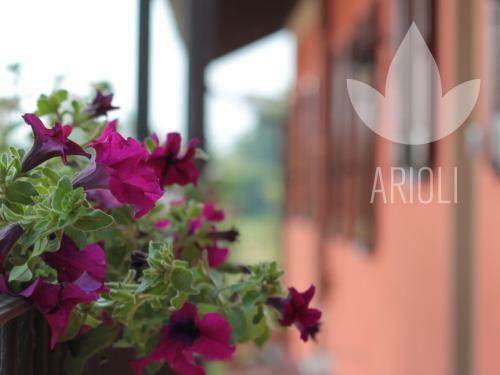 Hostal Top Residence Arioli