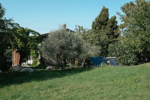 Adagio House