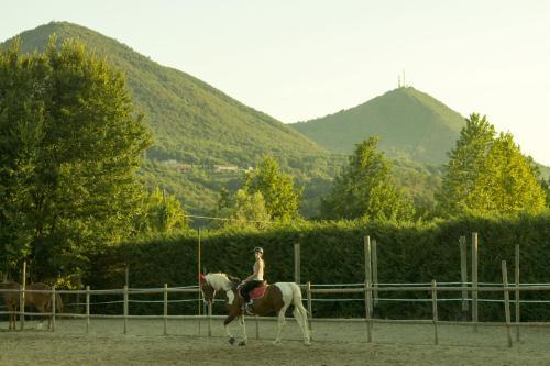 Bed & Breakfast Aiceltis