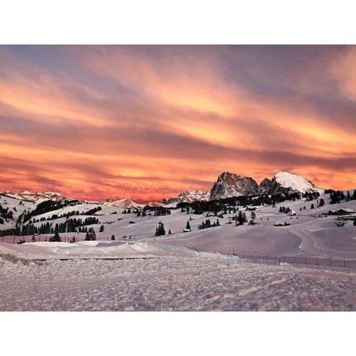 Agroturismo Binterhof Alpin Deluxe App