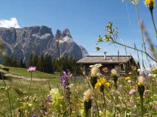 Agroturismo Binterhof Alpin Deluxe App