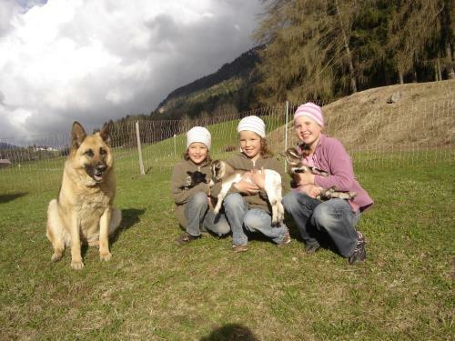 Agroturismo Binterhof Alpin Deluxe App