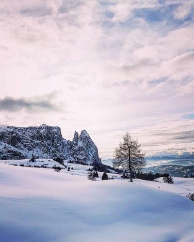 Agroturismo Binterhof Alpin Deluxe App