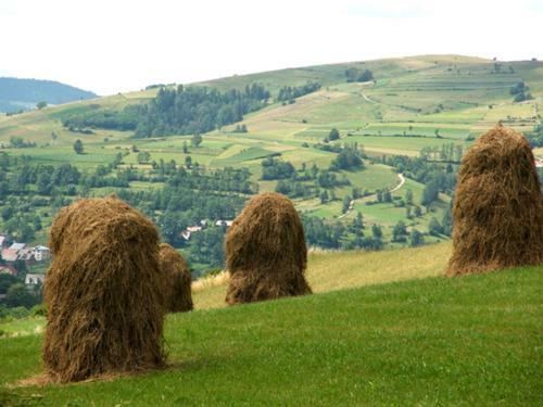 Gospodarstwo Agroturystyczne Watra