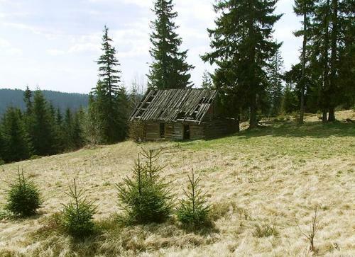 Gospodarstwo Agroturystyczne Watra