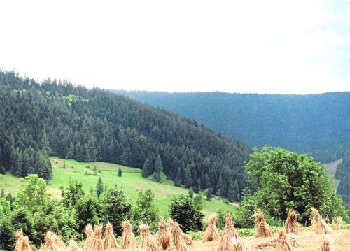 Gospodarstwo Agroturystyczne Watra