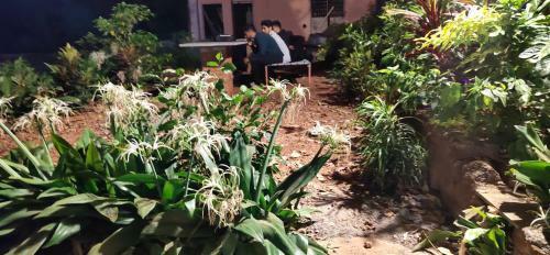 Hotel Park View Garden Resort Matheram