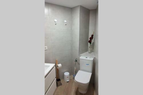 Apartamento Muy C�ntrico, A 8 Min Del Ave Andando, Reformado.