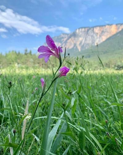 Auszeit Natur