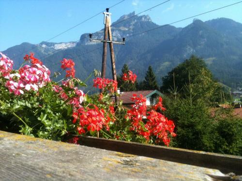 Bed & Breakfast Pension L�rchenhof