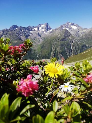 Apartamento Haus Bergwind