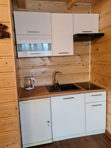 Apartamenty Pod Ska?k?