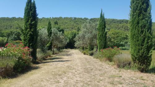 Bed & Breakfast Moulin De Bonfilhon