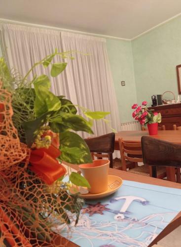 Hostal Short Less Apartment-rooms