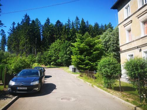 B&d Apartament Che?miec